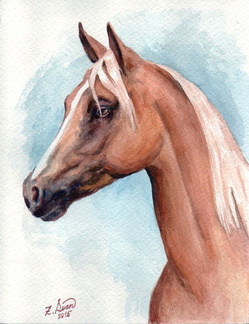 horse with a white mane